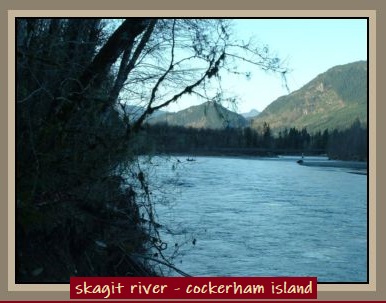 skagit river