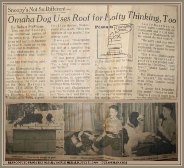 omaha dog learns to read
